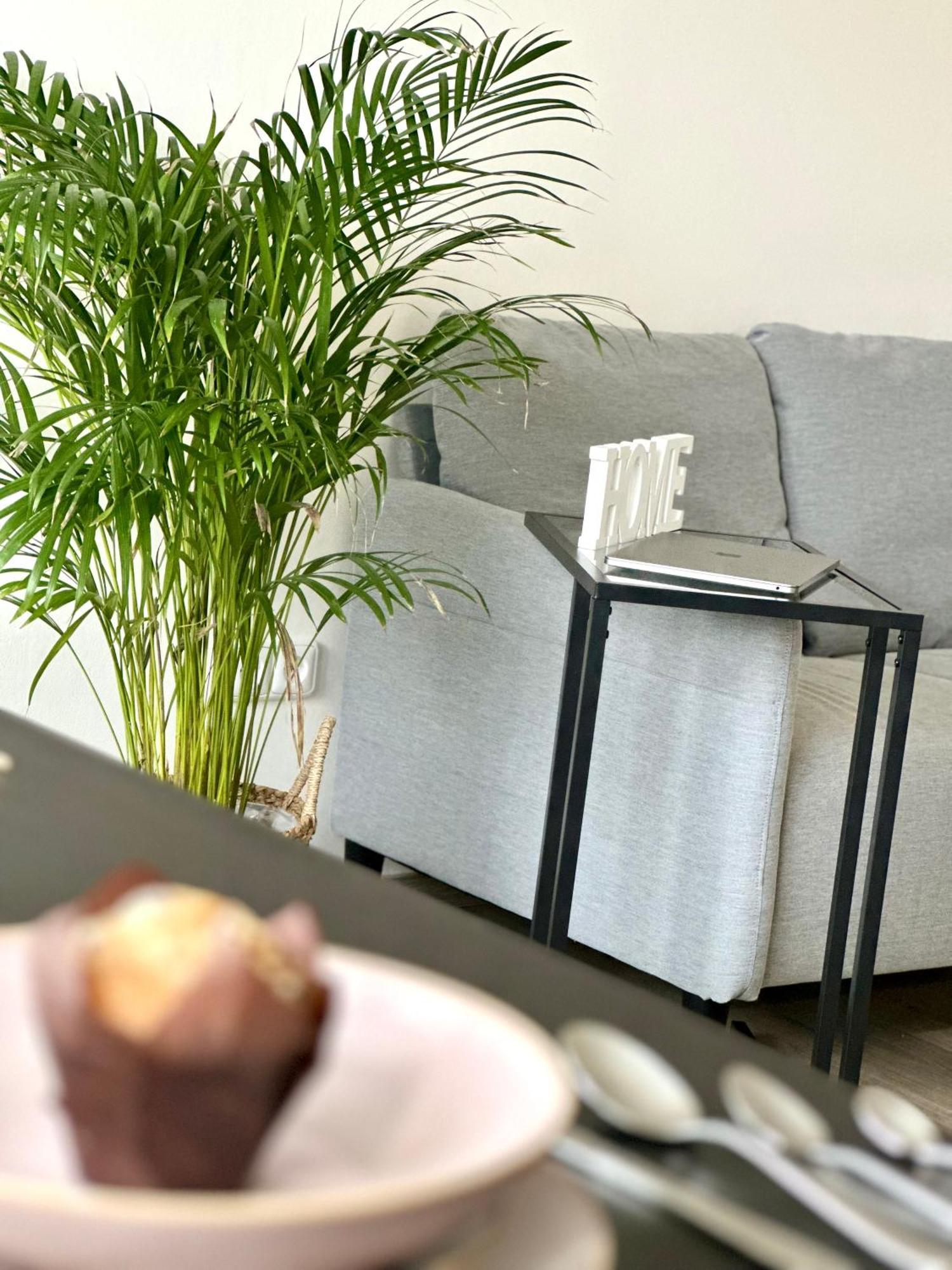 Apartment Dazzling